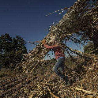 Alcaldes, comprometidos con padrón de jornaleros: Héctor Pizano