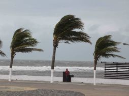 Autoridades exhortan a la población a mantenerse informada de las condiciones meteorológicas a través de Internet. NTX / ARCHIVO