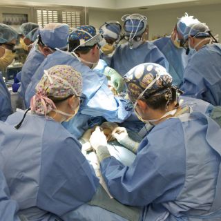 Jalisco reporta 224 trasplantes de riñón en lo que va de 2016