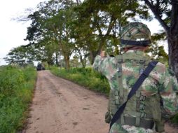 Las FARC tendrían 14 mil armas largas y cortas, y seis mil más 'que tienen que ver con granadas de fragmentación'. AFP / ARCHIVO
