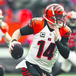 Los Bengalíes buscan retomar el paso triunfador