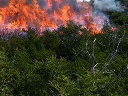 El siniestro continúa consumiendo la flora y fauna de dicha Reserva Ecológica. SUN / ARCHIVO