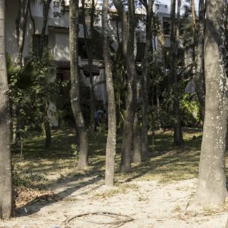 Obtienen nuevo recurso para evitar construcciones en Colomos