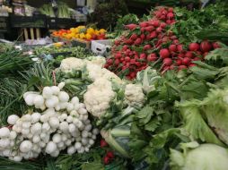 Para el 2020 se prevé que 50 por ciento de la población cultive sus propios alimentos. EL INFORMADOR / R. Tamayo