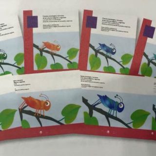 La UNAM crea libros científicos para niños indígenas y migrantes