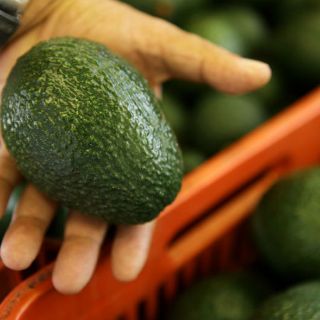 Aguacate, alimento básico con mayor baja en su precio