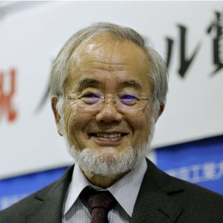 La autofagia le da el Nobel al japonés Yoshinori Ohsumi