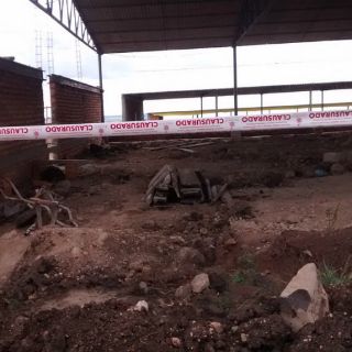 La Proepa clausura tres granjas porcícolas en Los Altos