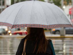 Algunos de los municipios afectados son Benito Juárez, Catemaco, Chicontepec, Espinal, entre otros. NTX / ARCHIVO