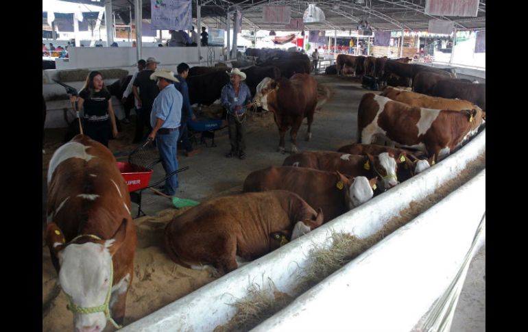 La mejor expo ganadera de México es un centro de negocios para los ganaderos de Jalisco y de todo el país. EL INFORMADOR / M. Vargas