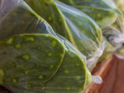 La fibra y la vitamina B3 que contiene ayuda a contrarrestar el colesterol que fluye en la sangre. EL INFORMADOR / ARCHIVO