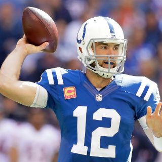 Potros superan a Osos