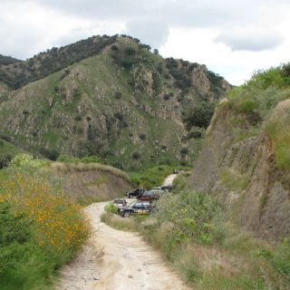 Hallan seis cuerpos en Veracruz