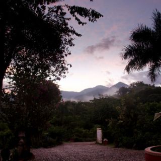 Puerto Vallarta será casa del Jardín Internacional de la Paz 2017