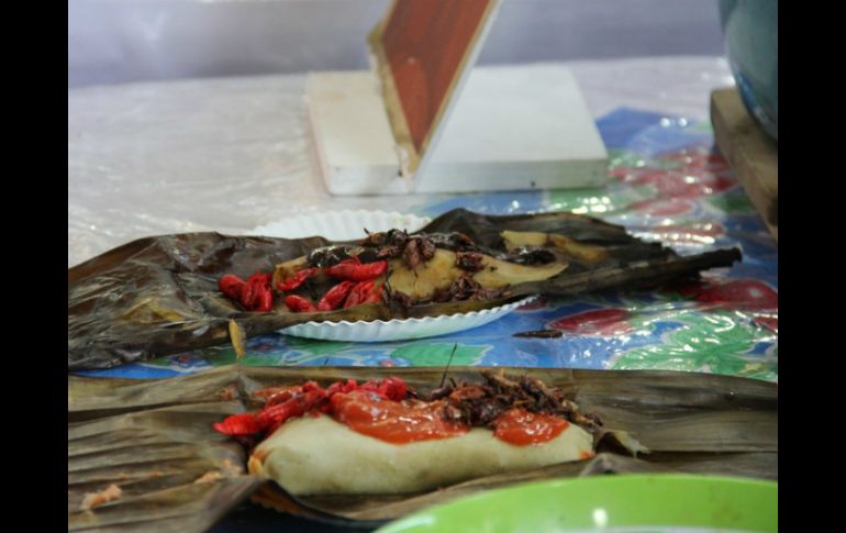 En un poblado de Lázaro Cárdenas se organizará este noviembre la celebración del Hanal Pixán, que incluye preparación de tamales. NTX / ARCHIVO
