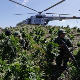 Narcolaboratorios proliferan en tierra del 'Chapo'