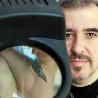 Boligán se viste de Catrina