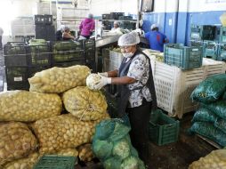 La higiene en los alimentos, desde su producción, evita la descomposición temprana. EL INFORMADOR / ARCHIVO