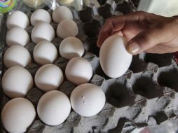 Huevo, aguacate, té verde y frutas ayudan a combatir la dermatitis y la inflamación. EL INFORMADOR / ARCHIVO