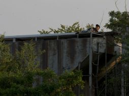 Un centroamericano se traslada en La bestia rumbo a Estados Unidos. AP / ARCHIVO