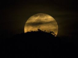 La Luna se observa desde la Tierra un 14 por ciento más grande y un 30 por ciento más brillante. EFE / A. Lacerda