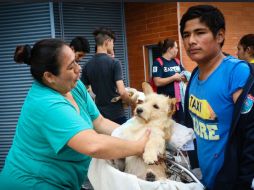 Desde temprana hora decenas de ciudadanos arribaron al Centro Administrativo de Tlajomulco  acompañados de perros y gastos. ESPECIAL / Gobierno de Tlajomulco