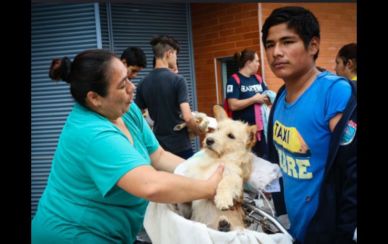 Desde temprana hora decenas de ciudadanos arribaron al Centro Administrativo de Tlajomulco  acompañados de perros y gastos. ESPECIAL / Gobierno de Tlajomulco