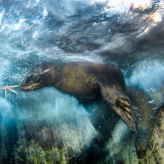 Mexicano gana premio de fotografía en Londres