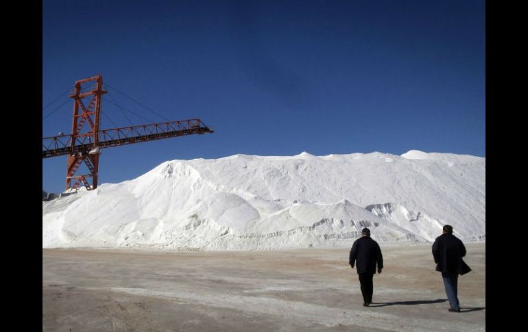 La paraestatal Exportadora de Sal produce ocho de cada 10 toneladas en México. Guerrero Negro es la salinera más grande del mundo. NTX / ARCHIVO