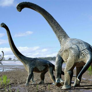 Descubren una nueva especie de dinosaurio de cuello largo en Australia