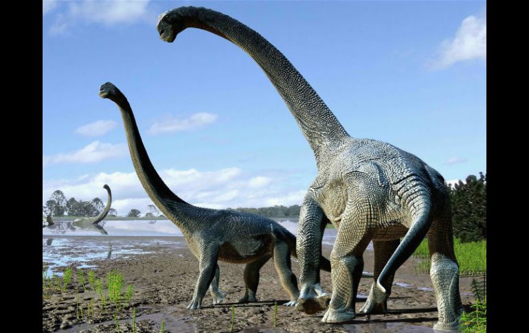 El Savannasaurus elliottorum podría haber llegado hace 105 millones de años desde Sudamérica. ESPECIAL / www.australianageofdinosaurs.com