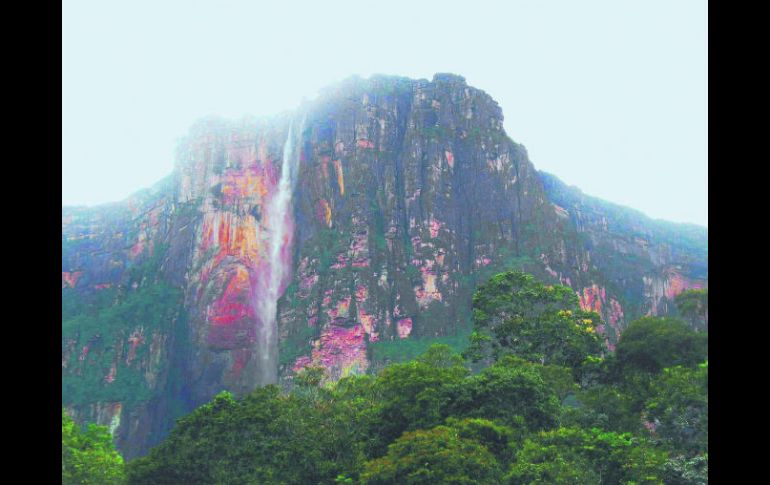 Monumental. Desde las planas alturas del Auyán Tepuy se deja caer 979 metros en caída libre la catarata más alta del mundo. ESPECIAL /