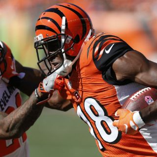 Bengalíes se imponen a los Cafés 31-17