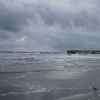 Tormenta tropical 'Seymour' se forma en el Pacífico