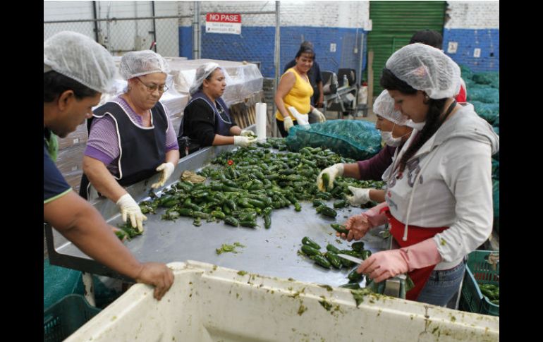 El Banco Diocesano de Alimentos duplicará su nivel de atención al construir un segundo edificio. EL INFORMADOR / A. Camacho