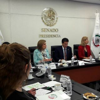 Arely Gómez comparece en el Senado
