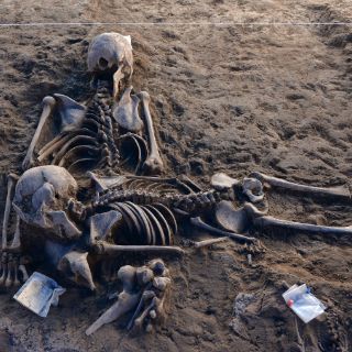 Descubren 145 osamentas en aldea de Zacatenco