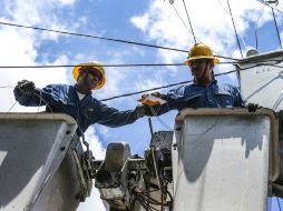 La Comisión Federal de Electricidad aumenta el número de empleados en 39 mil 244 en seis meses. EL INFORMADOR / ARCHIVO