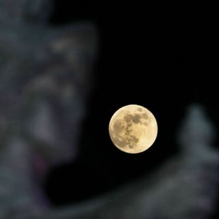 Revelan origen del cráter más grande de la Luna