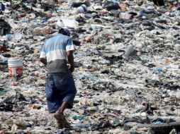 Conozco personas que les tienen pánico a los pepenadores como secuela de traumas infantiles. EL INFORMADOR / ARCHIVO