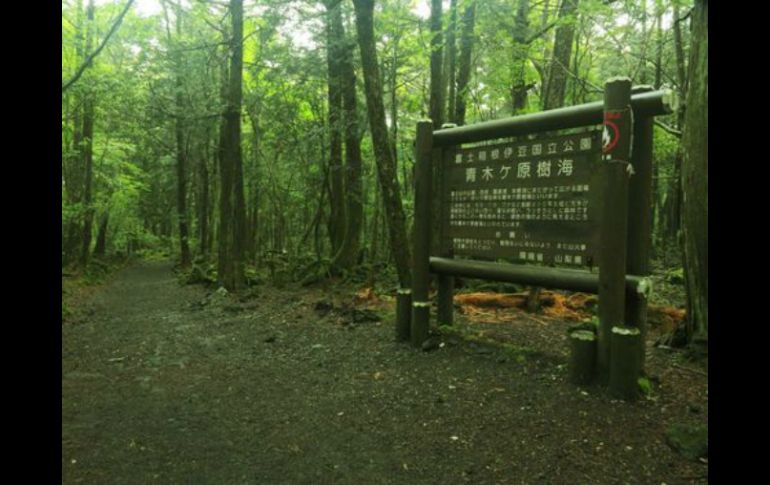 El Aokigahara es mejor conocido como 'El Bosque de los Suicidas' ya que en el 2010 se hallaron 247 cadáveres en la zona. TWITTER / @FoodandTravelMX