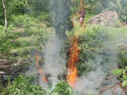 Protección Civil y Bomberos del municipio de Zapopan, verificaron que el procedimiento se apegara a la normatividad. EL INFORMADOR / ARCHIVO