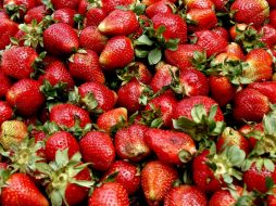 Los antioxidantes de la fresa se liberan en el estómago e intestino. EFE / ARCHIVO