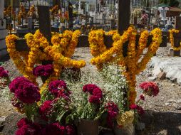 Durante el primer Día de Muertos, las tumbas se empiezan a cubrir de las diferentes flores que se cultivan en estos días. NTX / J. Espinosa