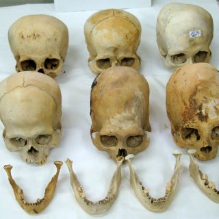 Incautan cráneos y mandíbulas de origen prehispánico en Perú