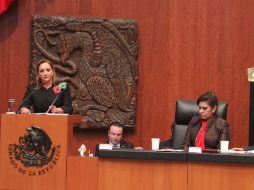 Ruiz Massieu da cuenta del estado de las relaciones de México con las naciones de las regiones del mundo. TWITTER / @SRE_mx