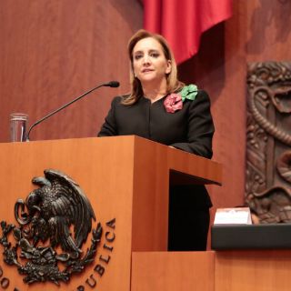 La SRE, responsable de invitación a Trump: Massieu