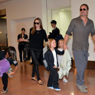 Brad Pitt solicita custodia compartida de sus seis hijos
