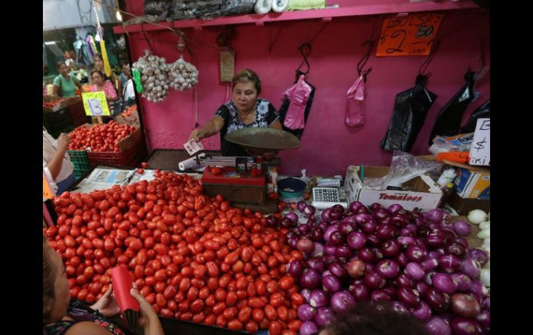 Algunos de los principales comestibles producidos en la región son trigo, papa, garbanzo, cebolla, jitomate y sorgo. EL INFORMADOR / ARCHIVO