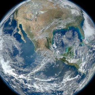 La Tierra vive su sexta gran extinción en masa